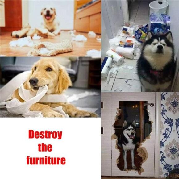 Pet Snuffle Mat for Dogs, Interactive Feed Game for Boredom, Encourages Foraging - Picture 4 of 8